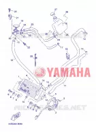RADIATEUR / SLANG voor Yamaha YP125RA 2013