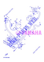 RADIATEUR / SLANG voor Yamaha YP250R 2013