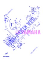 RADIATEUR / SLANG voor Yamaha YP250RA 2013