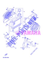 RADIATEUR / SLANG voor Yamaha YN50FU 2013