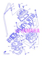 CILINDER voor Yamaha YZ250F 2013