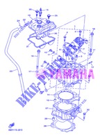 CILINDER voor Yamaha YZ450F 2013