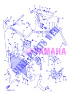 RADIATEUR / SLANG voor Yamaha YZF-R1 2013