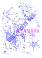RADIATEUR / SLANG voor Yamaha YZF-R1 2013
