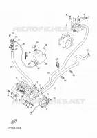 RADIATEUR / SLANG voor Yamaha YP250RA 2013