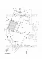 RADIATEUR / SLANG voor Yamaha NS50 2014