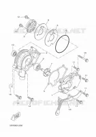 WATERPOMP / SLANGEN voor Yamaha MT 125 RACE BLU 2015