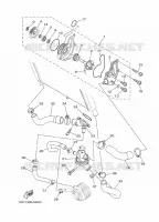 WATERPOMP / SLANGEN voor Yamaha MT09 2015