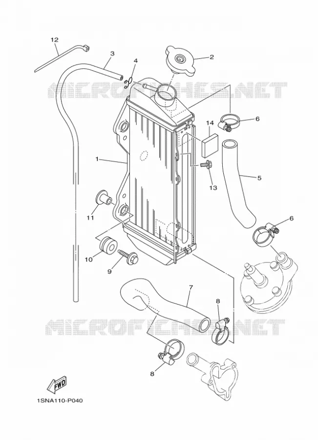 RADIATEUR / SLANG Yamaha MOTO 85 2017 YZ  YZ85