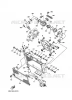 RADIATEUR / SLANG voor Yamaha TDM900A 2009
