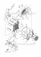 RADIATEUR / SLANG voor Yamaha TRYPTIK 125 ABS 2016