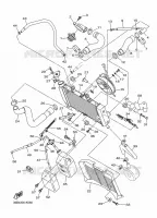 RADIATEUR / SLANG voor Yamaha XJ6 N ABS 2016