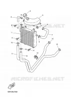 RADIATEUR / SLANG voor Yamaha YQ50L 2001
