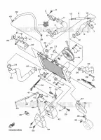 RADIATEUR / SLANG voor Yamaha DIVERSION 600 F ABS 2016