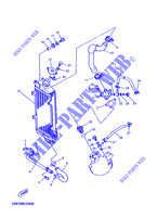 RADIATEUR / SLANG voor Yamaha DTRE 125 2005