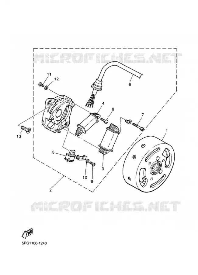 DYNAMO Yamaha MOTO 50 2018 PW  PW50