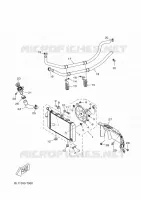 RADIATEUR / SLANG voor Yamaha XMAX 125 ABS 2018