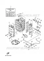 CILINDER / CARTERDELEN 1 voor Yamaha F50D Electric start, Remote Control, Power Trim & Tilt, Shaft 20