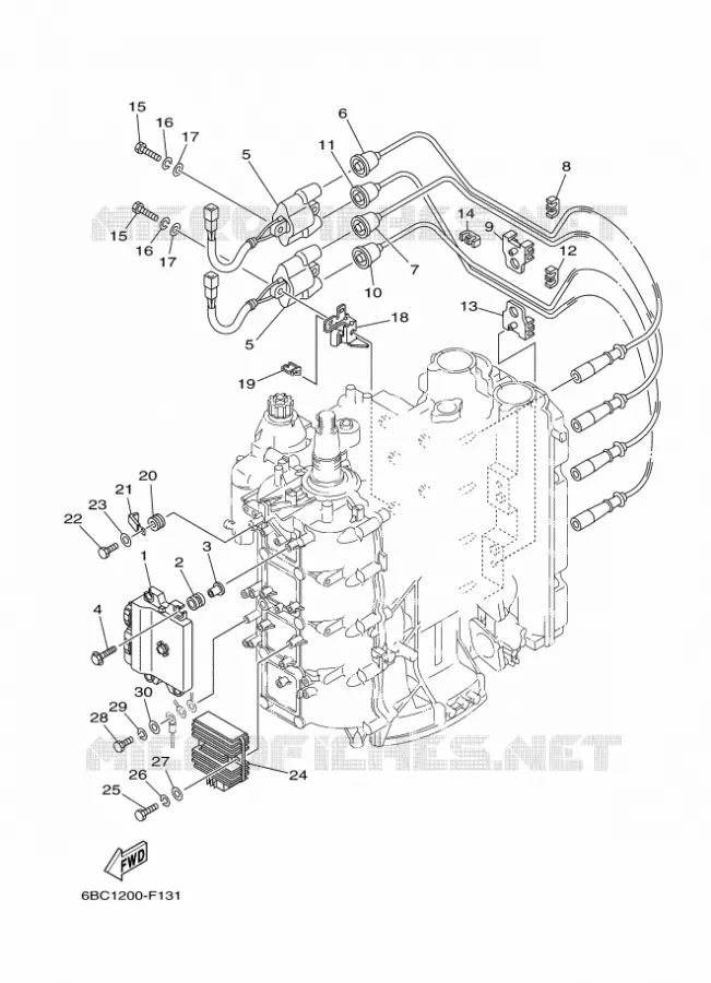 ELECTRISCH 1 Yamaha OUTBOARD ENGINES 80hp (55.2kW) 2009 F80  F80CEDL