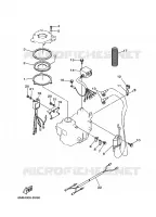 ELECTRISCH  voor Yamaha 6C 2 Stroke, Manual Starter, Tiller Handle, Manual Tilt, Pre-Mixing 2008