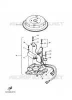 ALTERNATIEF 1 voor Yamaha 6D 2 Stroke, Manual Starter, Tiller Handle, Manual Tilt 1989