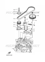 BRANDSTOFPOMP AANDRIJVING voor Yamaha Z200P Electric Starter, Remote Control, Power Trim & Tilt, Oil injection, Shaft 20