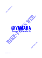 ALTERNATIEF MOTOR  voor Yamaha ENTICER II 2000