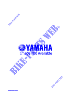 ALTERNATIEF MOTOR  voor Yamaha PHAZER MOUNTAIN LITE 1998