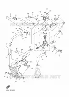 RADIATEUR / SLANG voor Yamaha VENTURE MULTI PURPOSE 2018