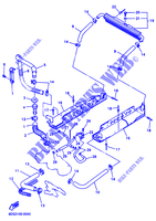 RADIATEUR / SLANG voor Yamaha SXR600 2003