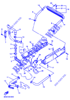 RADIATEUR / SLANG voor Yamaha SXR600 2001