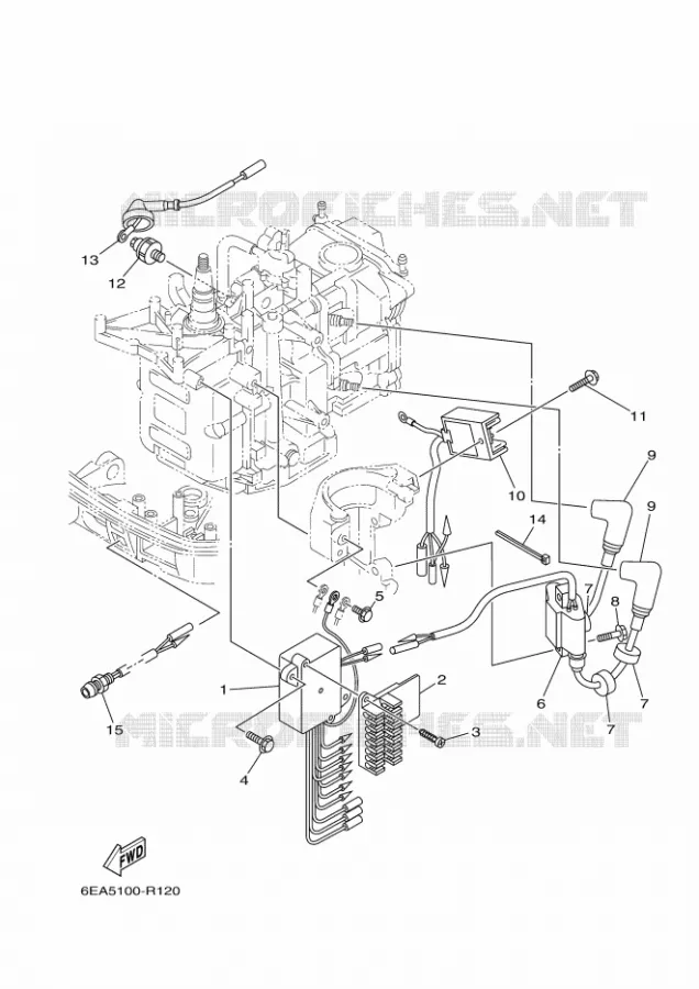 ELECTRISCH 1 Yamaha OUTBOARD ENGINES 8hp (5.9kW) 2018 F8  F8FEL