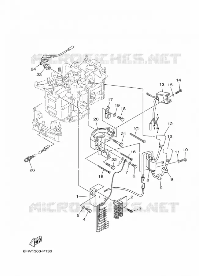 ELECTRISCH  Yamaha OUTBOARD ENGINES 8hp (5.9kW) 2015 F8  F8FMHL