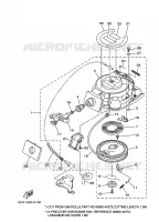 KICKSTART PEDALEN voor Yamaha F9.9H Manual Starter, Tiller Handle, Manual Tilt, Shaft 15