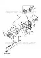 INLAAT voor Yamaha E40X Enduro, Manual Starter, Tiller Handle, Manual Tilt, Pre-Mixing, Shaft 15