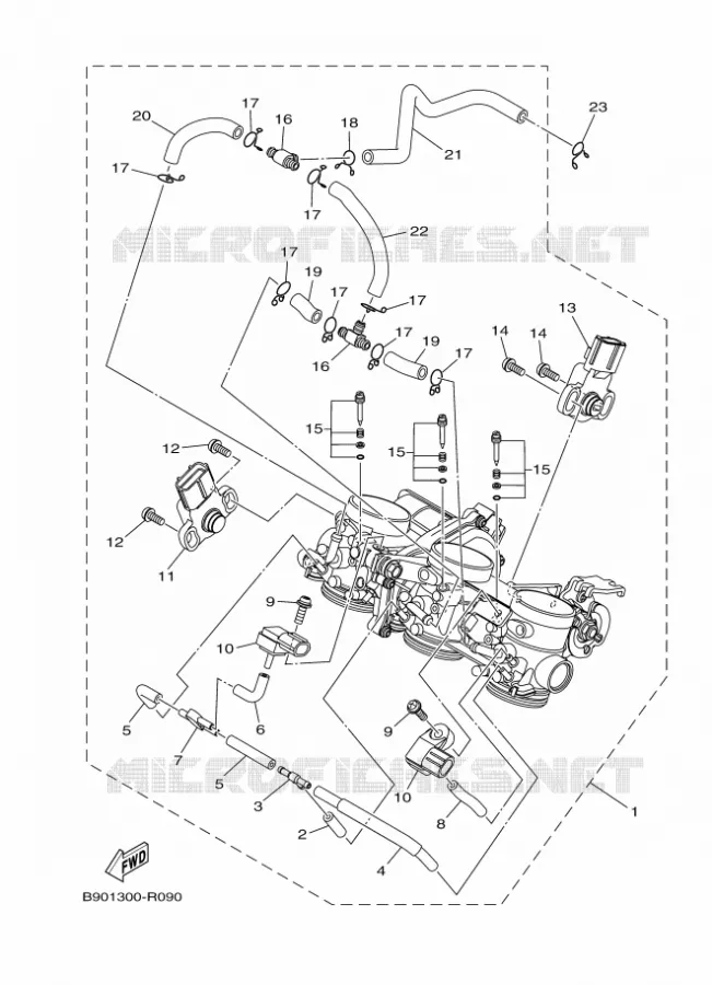 INLAAT Yamaha MOTO 900 2019 XSR  MTM850