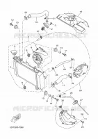 RADIATEUR / SLANG voor Yamaha MT-125 ABS 2019