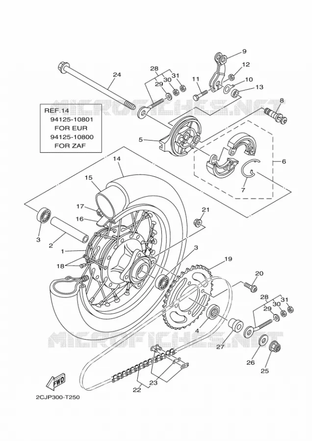 ACHTERWIEL Yamaha MOTO 50 2020 TTR  TT-R50E