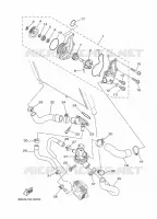 WATERPOMP / SLANGEN voor Yamaha MT-09 ABS 2020
