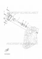 WATERPOMP / SLANGEN voor Yamaha XMAX 400 ABS 2020