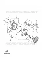 WATERPOMP / SLANGEN voor Yamaha TDM 900 2010