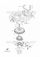 DYNAMO voor Yamaha F40GETL 2020