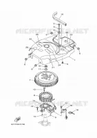DYNAMO voor Yamaha F50HEDL 2021