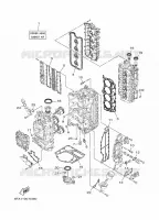 REPARATIESET 1 voor Yamaha F175LA 2021