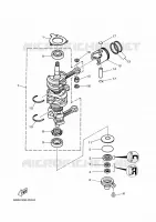 KRUKAS / ZUIGER voor Yamaha 40V Electric Starter, Remote Control, Manual Tilt, Oil injection, Shaft 20