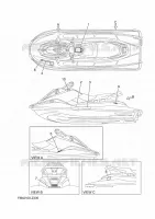 LABEL voor Yamaha EX DELUXE 2024