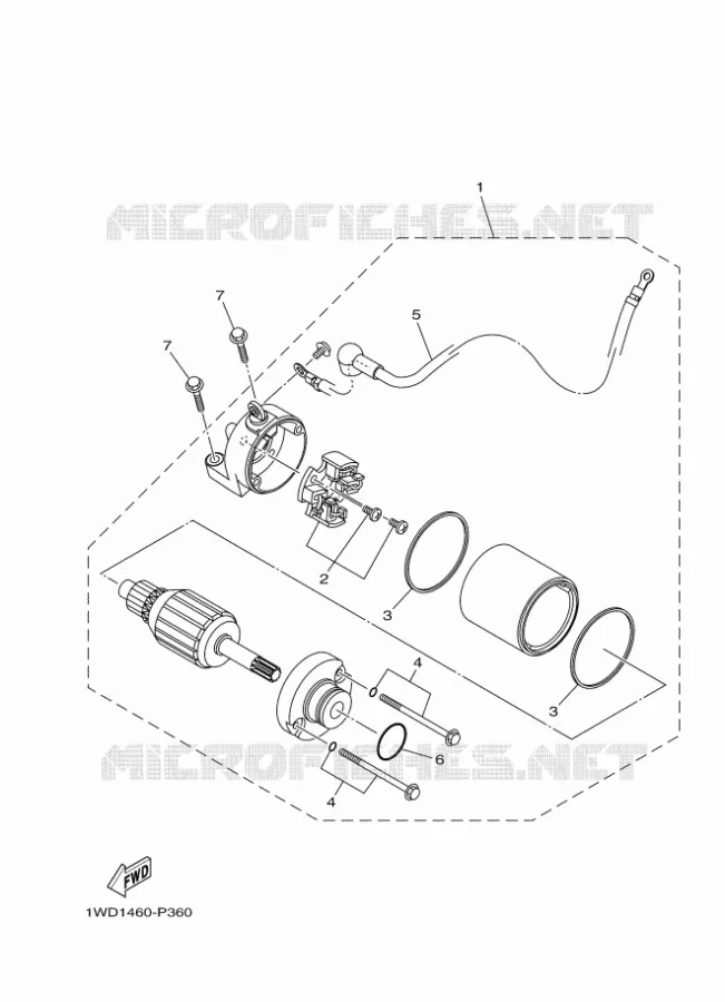 STARTMOTOR Yamaha MOTO 300 2024 MT  MTN320-A