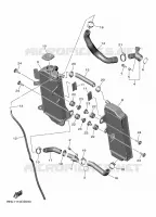 RADIATEUR / SLANG voor Yamaha YZ 450 FX 2024
