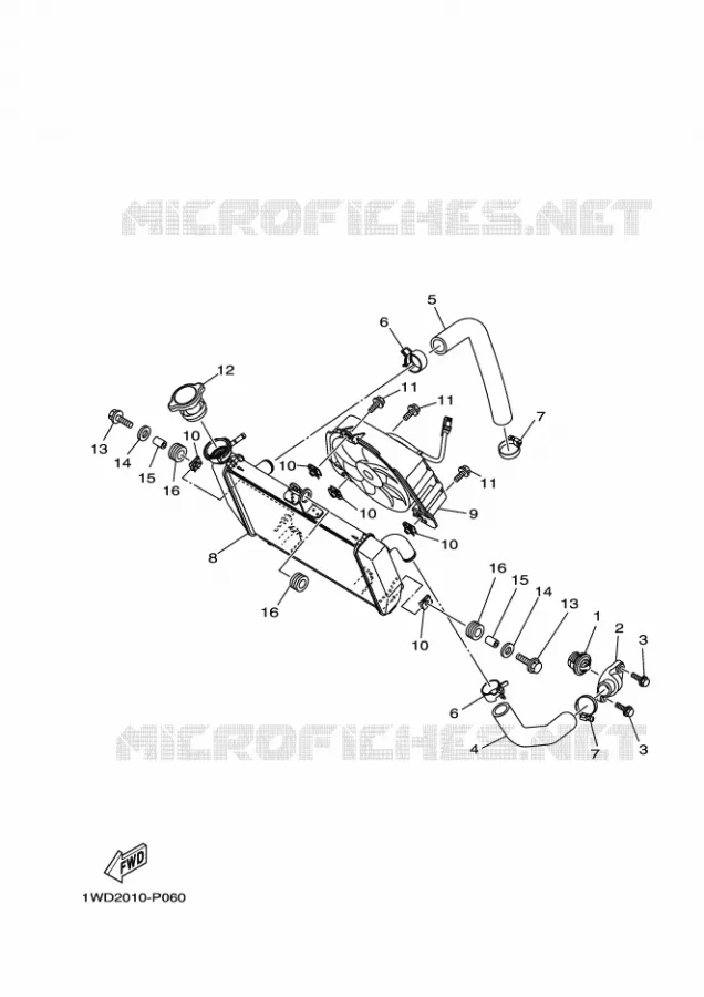 RADIATEUR / SLANG Yamaha MOTO 300 2023 R3  YZFR3AP / YZF320-A
