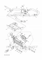 RADIATEUR / SLANG voor Yamaha R125 2025